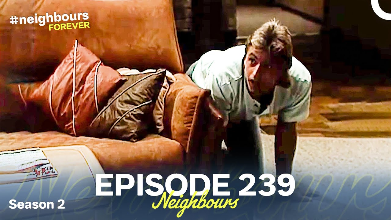 Neighbours Season 2 Episode 239 (1986)