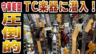 ジャパンヴィンテージギター Amazon.co.jp: ジャパン・ヴィンテージ〈アコースティック