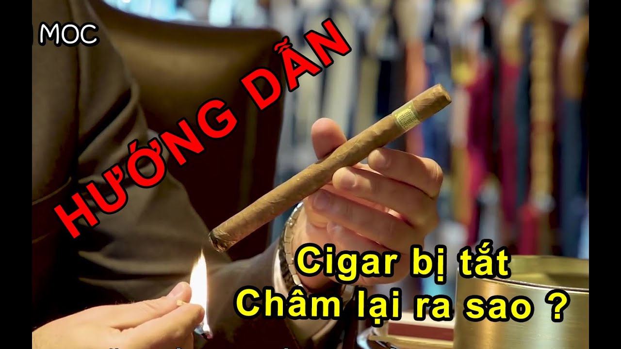 Hướng dẫn hút Cigar đúng cách như 1 quý ông - YouTube