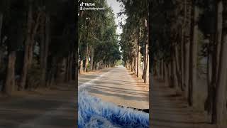 Hayat.uzak.dur.benden..