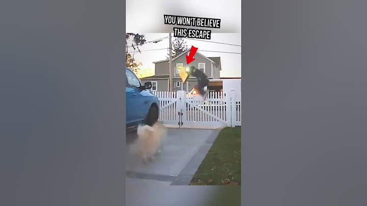 Delivery Guy's Olympic-Level Dog Escape! 🏅🐕#shorts