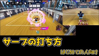 はじめてのバレーボールレジェンド【サーブの打ち方】