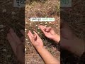 Do you know about five elements …?🤨 #elements #shorts #reels #explore #shortsvideo