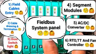 Fieldbus System Panel Overview | Cable Entry, Segment Modules, Termination, RTD & AC/DC Power #new