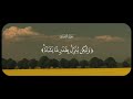 ولو بسط الله الرزق لعباده لبغوا في الأرض الشيخ محمود خليل الحصري سورة الشورى 