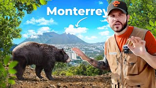 Siendo GUARDABOSQUES por un día y RESCATANDO OSOS en MONTERREY | Chemanimals