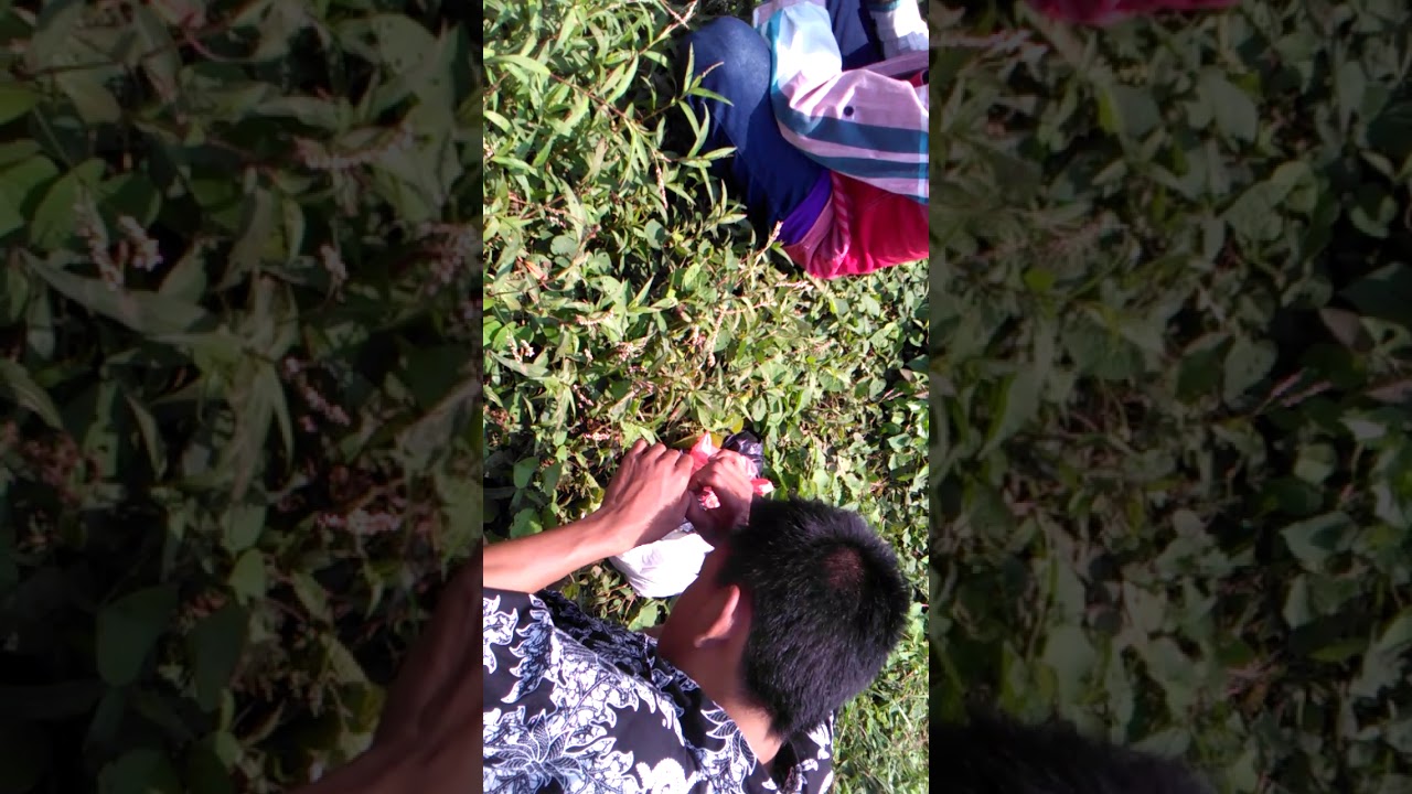 Mancing ikan di saluran air sawah 