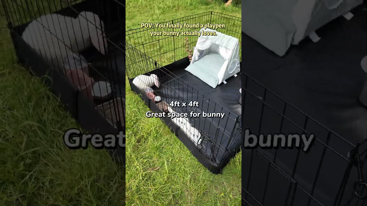 set up bunny cage in second 