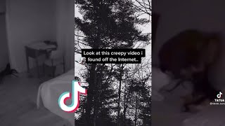 Creepy Videos Found on the Internet😱 | TikTok Compilation #19