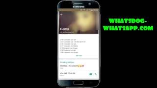 Mirador Whatsapp de WHATSDOG ¿Con quien hablan mientras estan conectado? screenshot 3