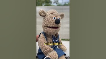 Day:11 of me shouting out MrBeast until I get 10k Subscribers  #comment #puppet #fup #mrbeast #10k