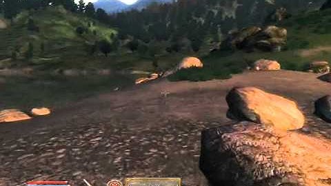 Oblivion- Looking for Nirnroots