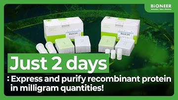 Produce up to 10 mg recombinant protein in 2 days!ExiProgen™ EC-Bulk Kit [K-7340]