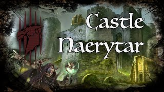 D&D Ambience - [ToD] - Castle Naerytar by Sword Coast Soundscapes 3,271 views 1 year ago 2 hours, 55 minutes