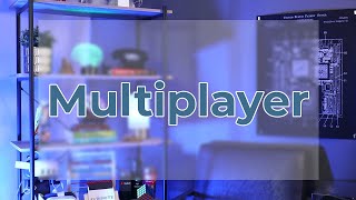 Multiplayer