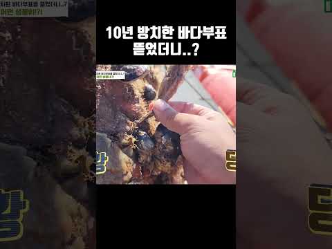 ※<strong>신기함주의</strong>..별에 별거 다나오네요..