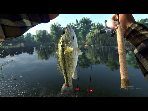 Video Fishing Planet - Part 65 : Everglades Bassy Bait... - youtube