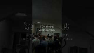 Сура 64 "Ат-Тагабун" (Обделение) Аяты: 11-13 Чтец:Махди Аш-Шишани #Коран #Quran #قرآن #ذكر