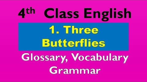 4th Class English || 1. Three Butterflies || Glossary Vocabulary Grammar