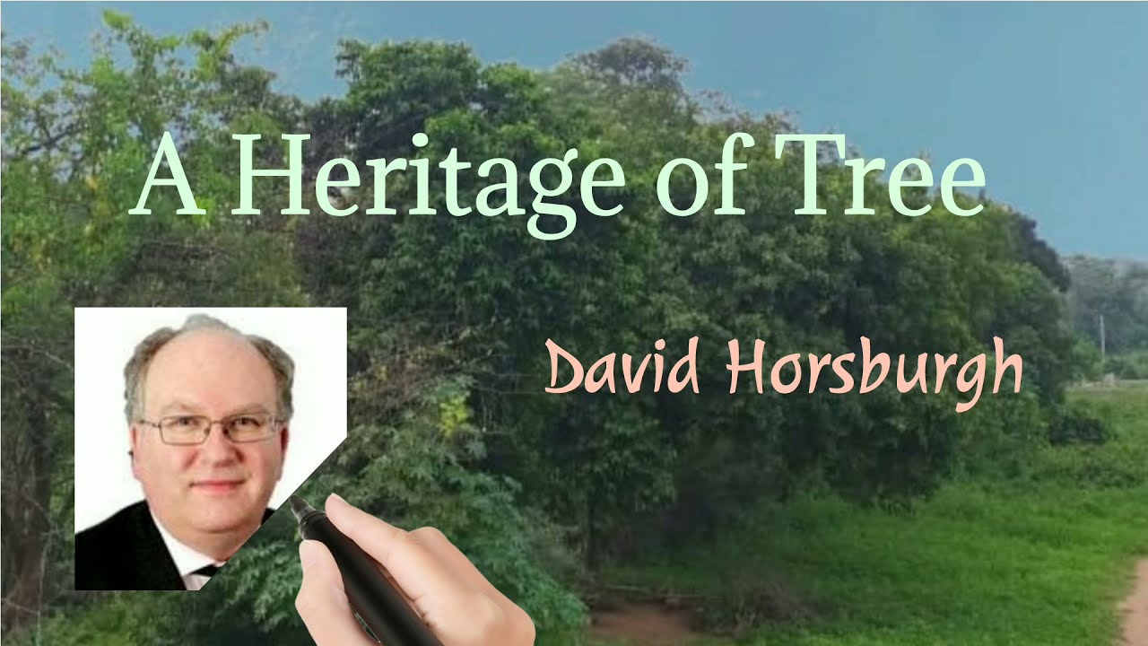 JCERT class 8 book 'Daffodil'  : Unit 7b 'A Heritage of Trees' poem recitation