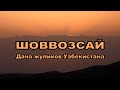 Шоввозсай. Дача жуликов Узбекистана.