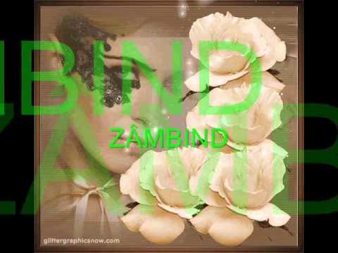 CUVINTE POTRIVITE.wmv