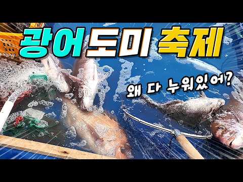 쫓겨날 각오로 다시 가 본 자연산 광어 <strong>도미</strong> 축제