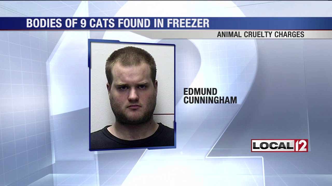 Middletown man arrested after dead cats, kittens found in his freezer ...