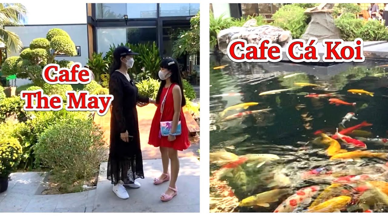 cafe vườn kín đáo ở hà nội Update Cafe The May | Quán cafe Cá Koi Sân vườn đẹp nổi tiếng xứ Vạn | Vạn Ninh Khánh Hoà
