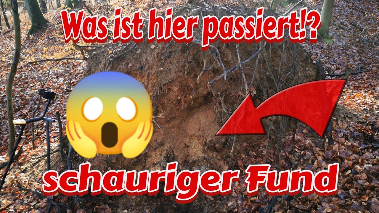 Was verbirgt sich unter der Baumwurzel 😱 ?!Sondeln im 🌲Wald🌲.#treasurehunt #metaldetecting #sondeln