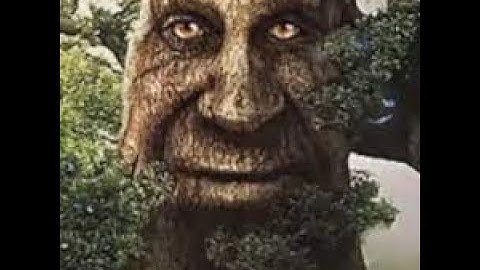 LoL | Wise Mystical Tree duo went wrong