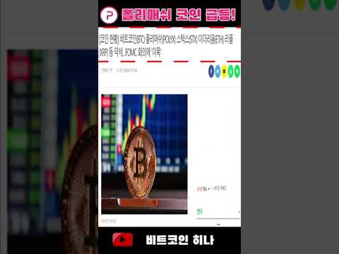 #shorts #비트코인 #밀크 #폴리매쉬 #etf #bitcoin #btc #코인 #소통방 #정보방 #폴리매쉬