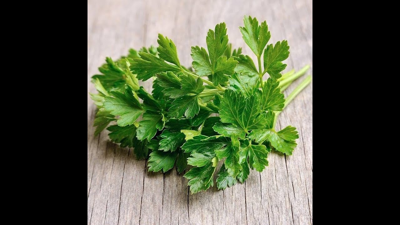 6 Health Benefits Of Parsley For Cancer Prevention & Detox