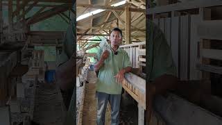 produk penambah nafsu makan pada ternak