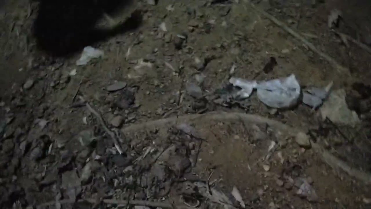 Black lady story episode 3 (Finale)