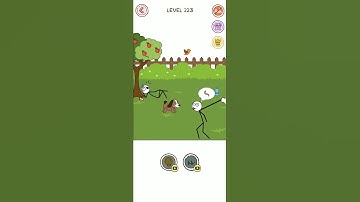 Thief puzzle level 233