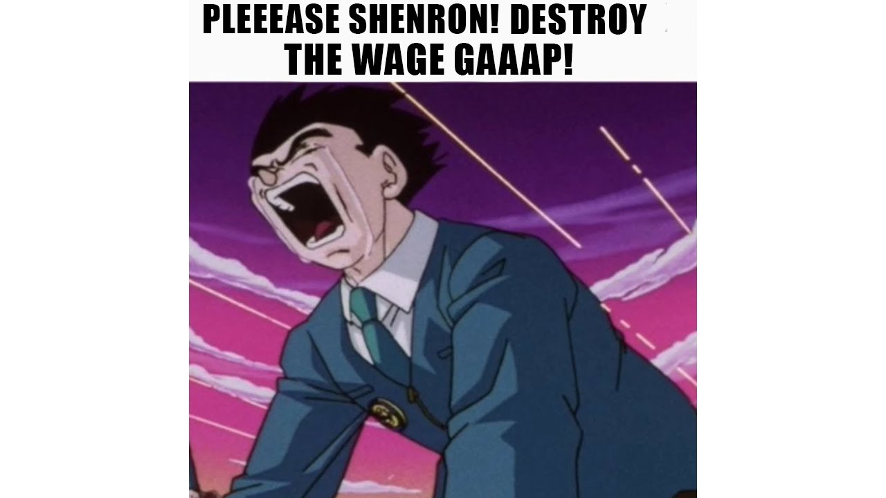 PLEASEE SHENRON! DESTROY THE WAGE GAP!