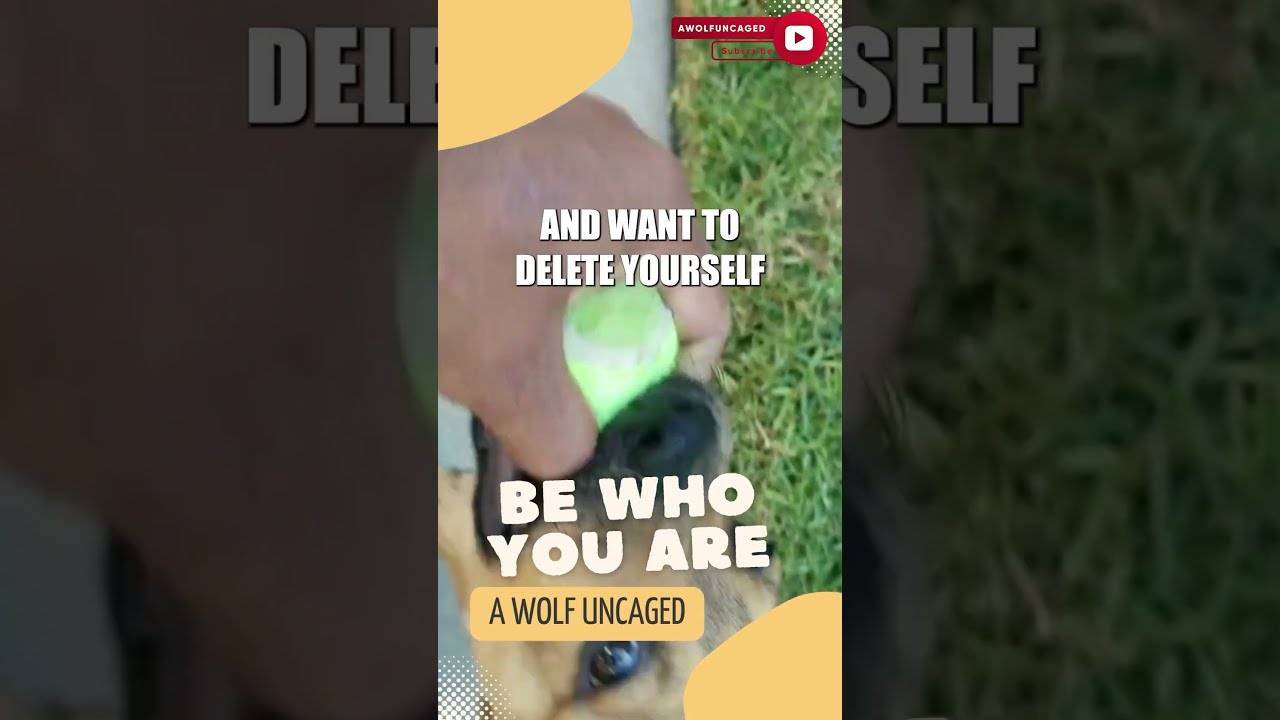 Uncovering Dr Seuss Surprising Key To Self Love Whybeauthentic