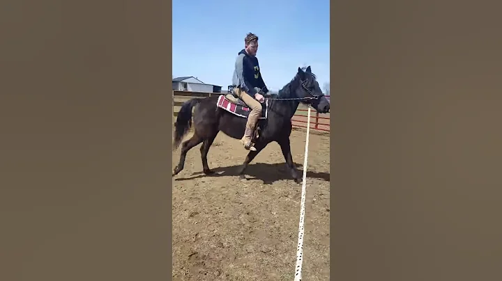 Precious TWH Workout