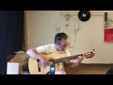 Real Love (Fingerstyle guitar)