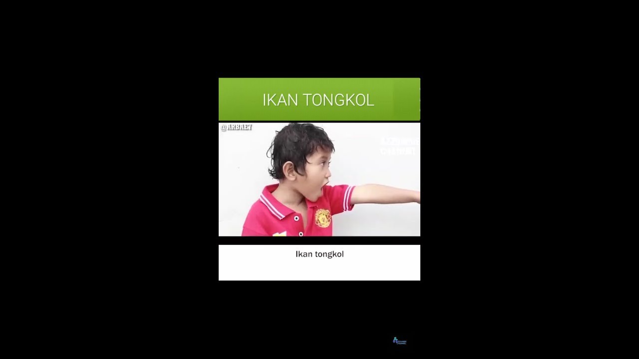 KOMPILASI ARBAE7 IKAN TONGKOL VIDEO LUCU ROMANTIS YouTube