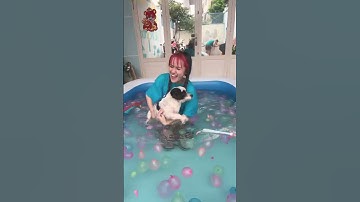 Bà Vê Rủ Mon Cùng Tắm Hồ Bơi Siêu To Khổng Lồ - Vê Vê Travel #shorts