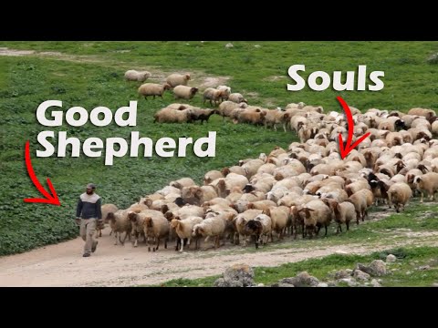 The Good Shepherd: How Jesus Cares for Every Soul 1 YouTube video thumbnail