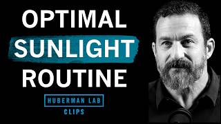 Optimal Morning & Evening Sunlight Routine | Dr. Andrew Huberman