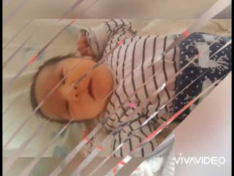 Malkata Mi Zvezdichka Anitka