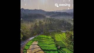 Download Lagu Kisah Anak Perantau(Akustik) MP3