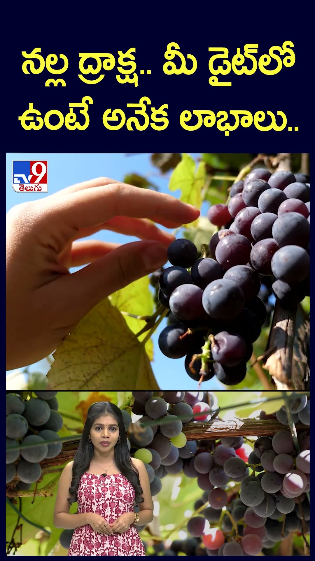 నల్ల ద్రాక్ష.. మీ డైట్‎లో ఉంటే అనేక లాభాలు.. - TV9
