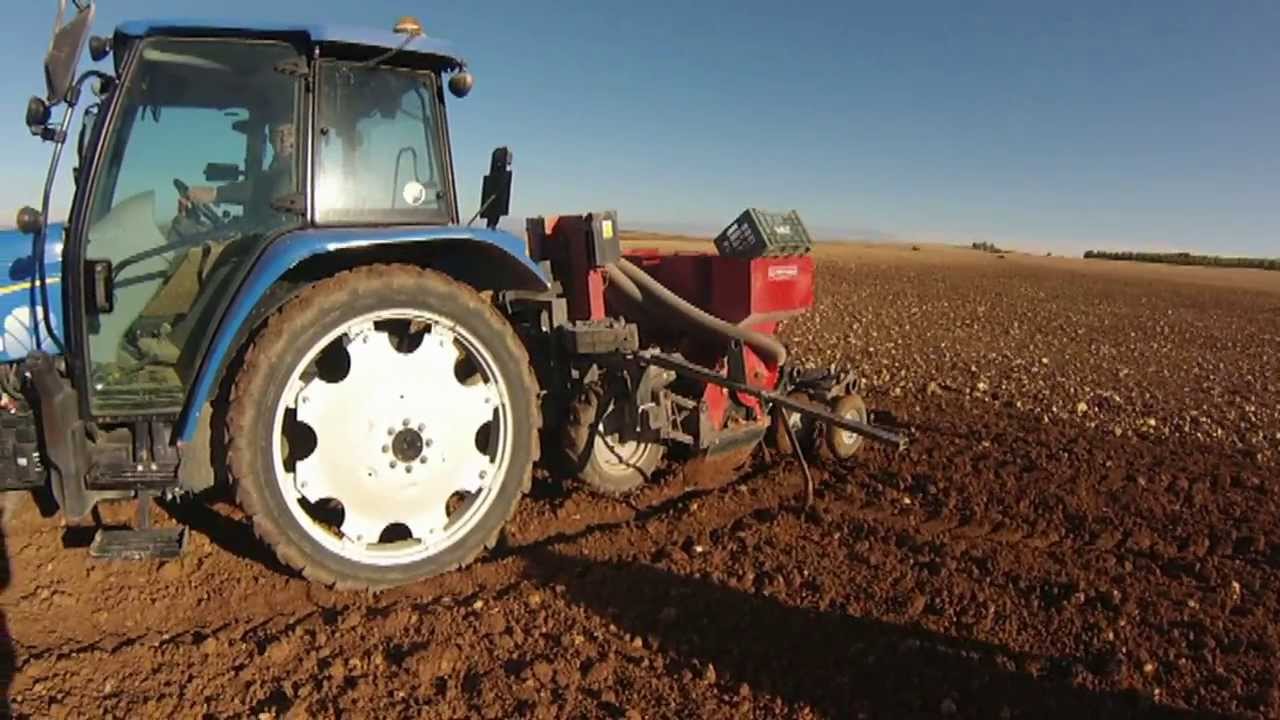 Plantadora de ajos neumática La preferida