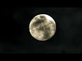 KENZO - Noctura