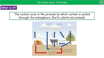 OCR Gateway A B4.1.7  - The Carbon Cycle